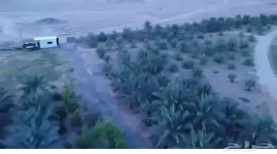 فرصة زراعية مميزة شرق بريدة مزرعة بالسويدة 8