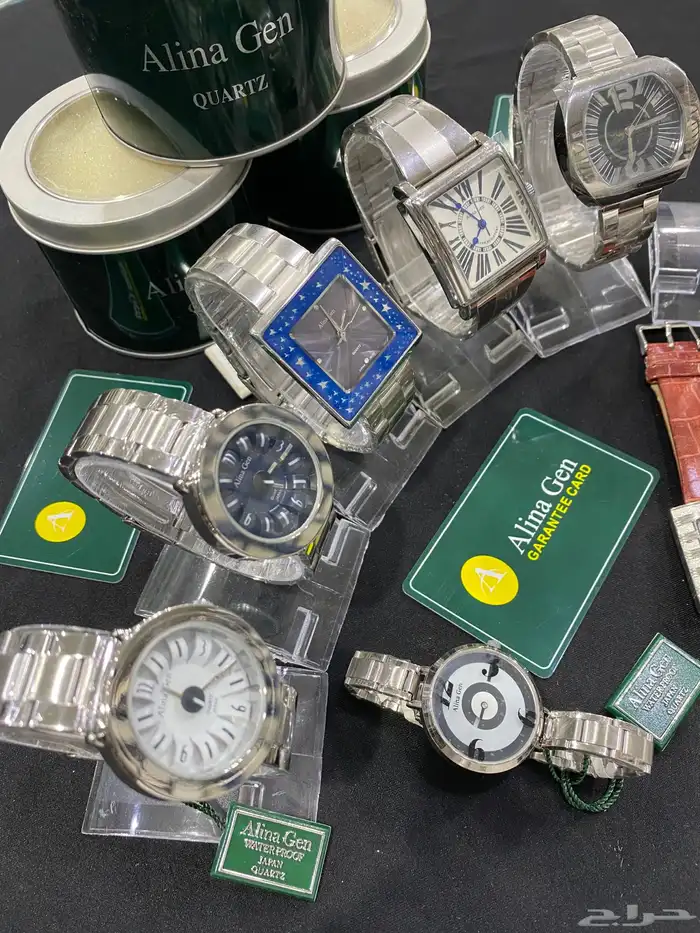 ساعات ماركة ألينا جين Alina Gen رجالي ونسائي 0