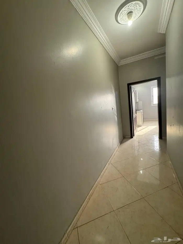عمارة للإيجار بالكامل سكن و استثمار شركات و افراد - سكن عمال 12