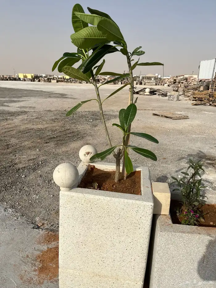 منتجات خرسانية 2