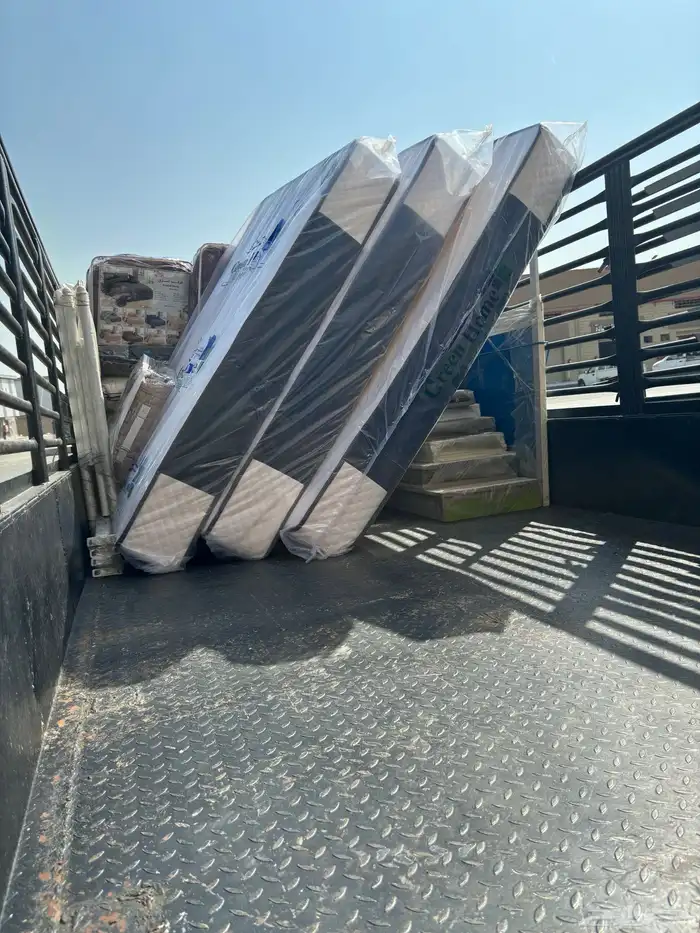 دينه محايل 0