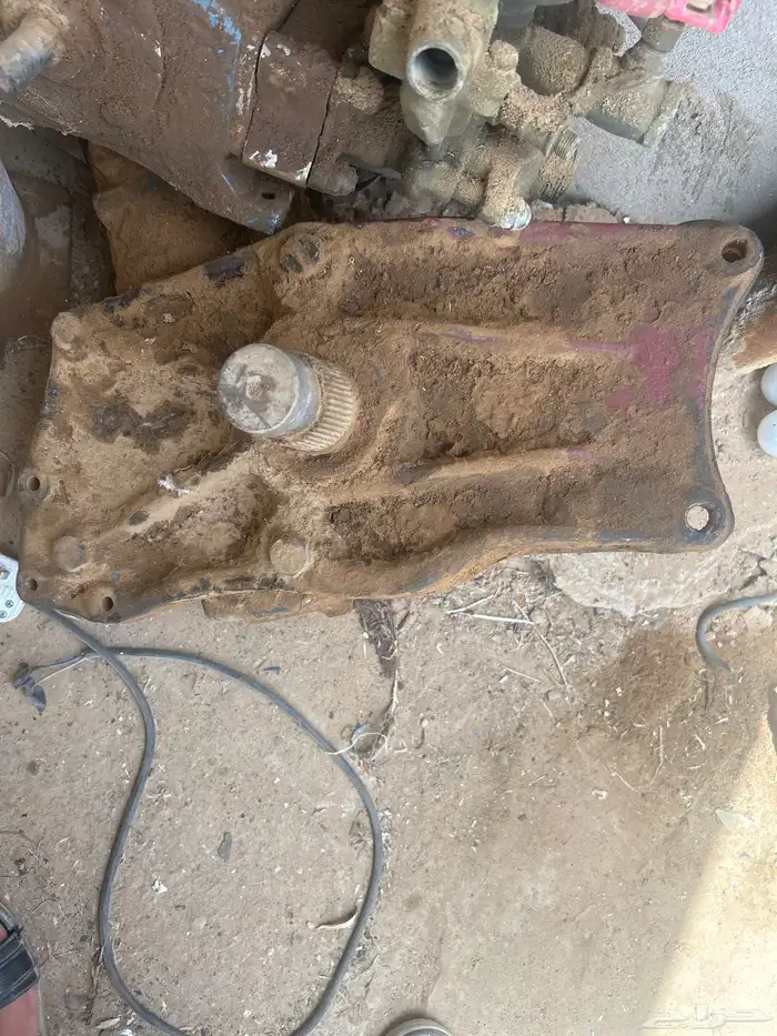 دودة بوز 0