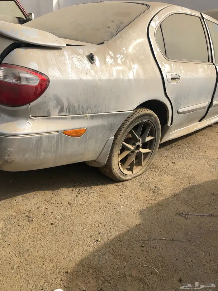 مكسيما2002 1