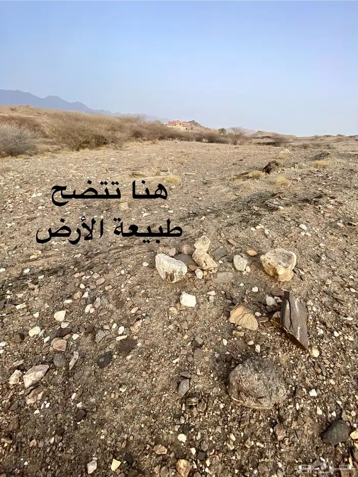 أرض للبيع برجال المع مخطط بني زيد ب 90 الف 1
