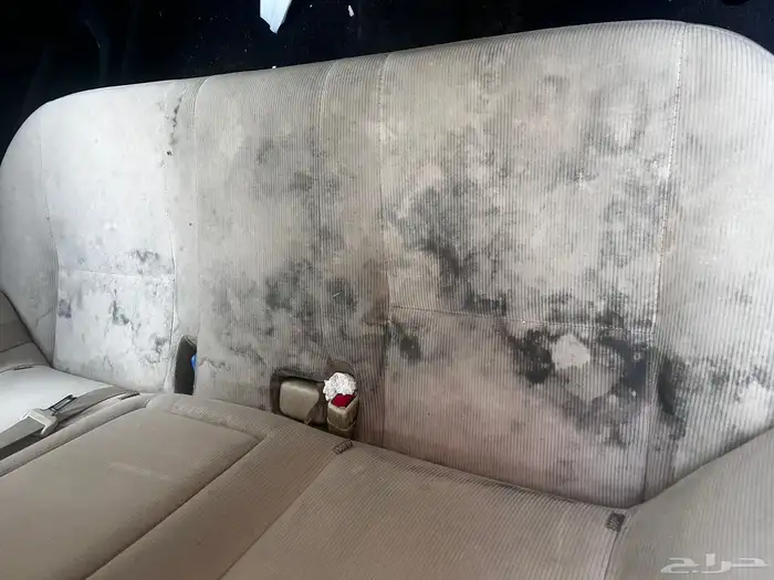 تنظيف وتلميع متنقل 4