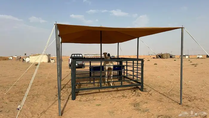 مضلات غنم مضلا حلال مضلات ابل مضلات سيارات مضلات مواشي 21