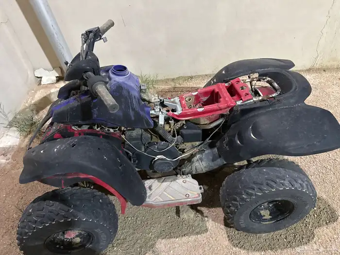 دباب 1