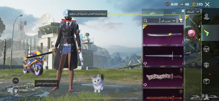 حساب ببجي 29