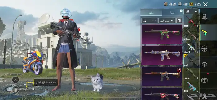 حساب ببجي 17