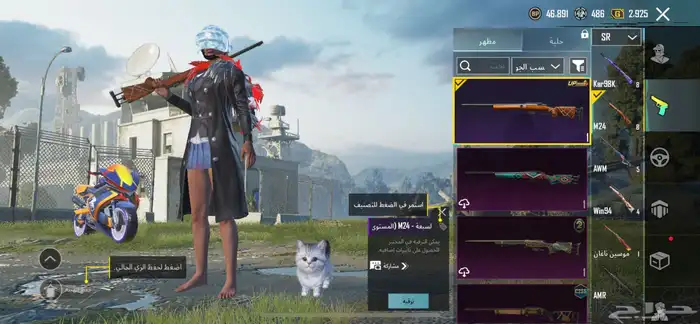 حساب ببجي 22