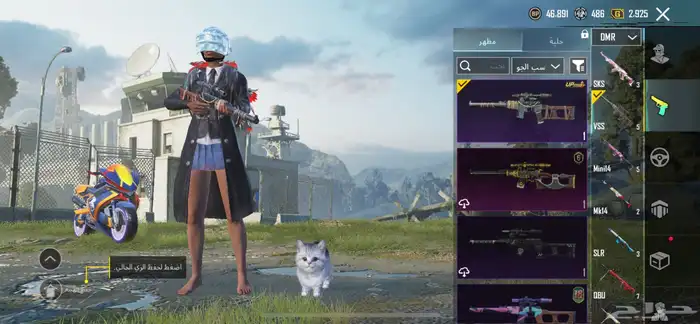 حساب ببجي 24