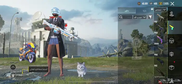 حساب ببجي 28