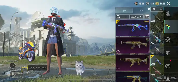 حساب ببجي 19