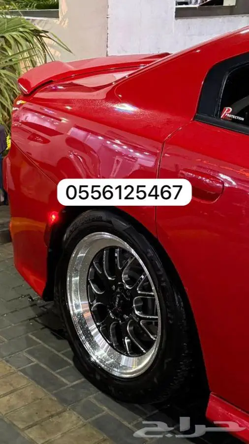 جنوط وايلدات 0