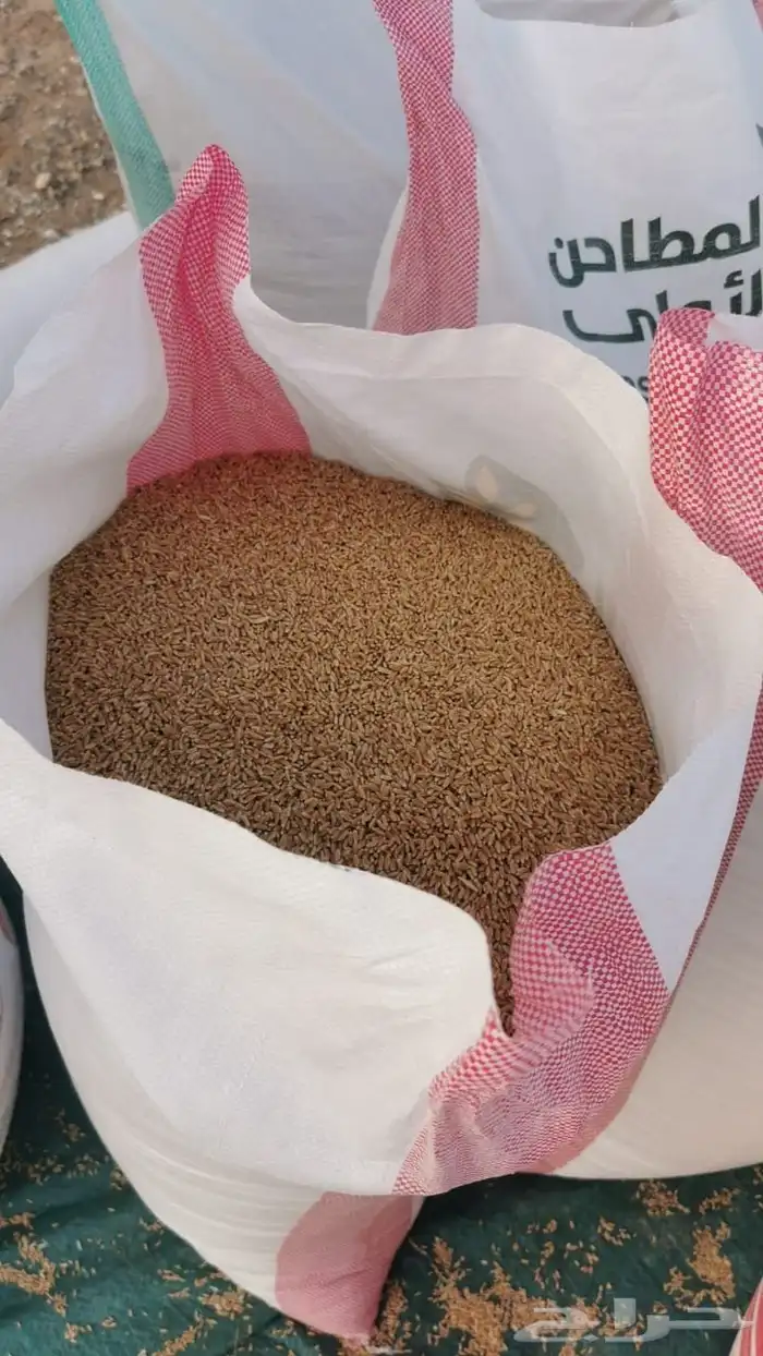 معيه الفواره بدون كماوي 1