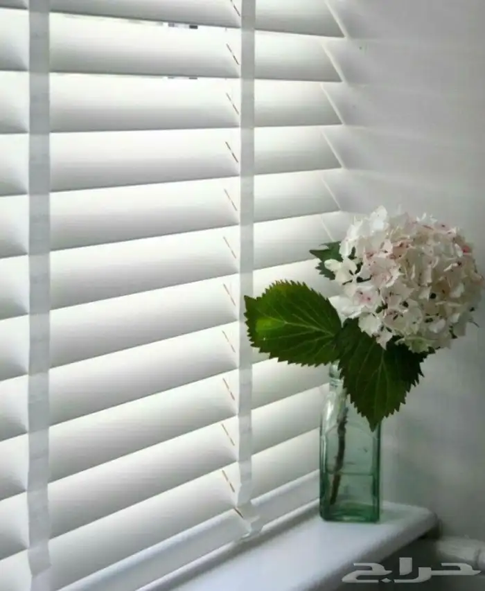 ستارة رول شاتر جديدة 0