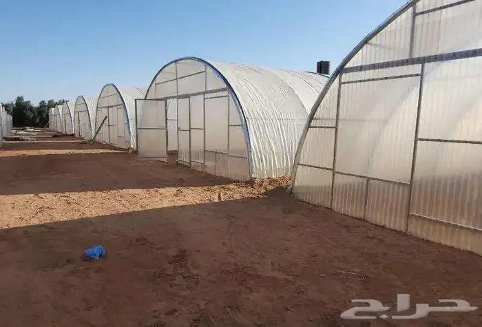 للبيع بيوت محمية واكسسوار البيوت محميه 2