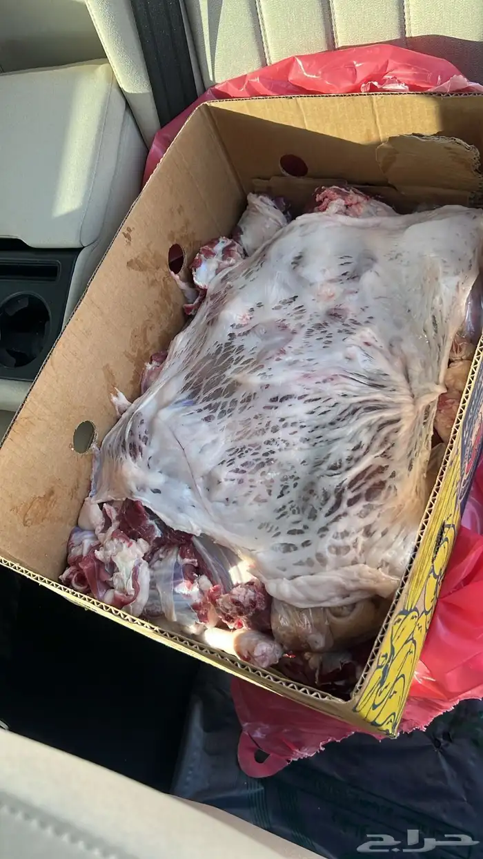 ذبايح 2