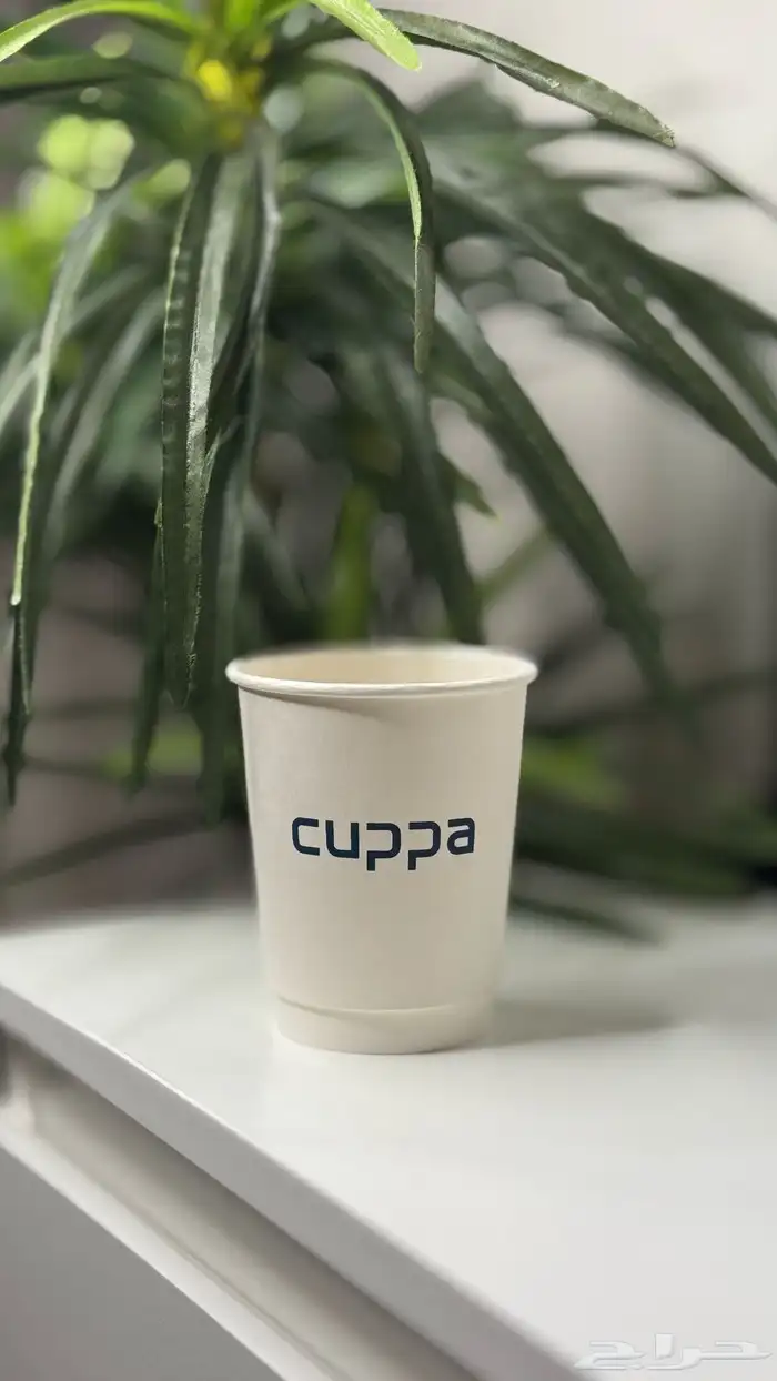 بروشات و اكواب و اكياس ورقية و جميع الاشياء 72
