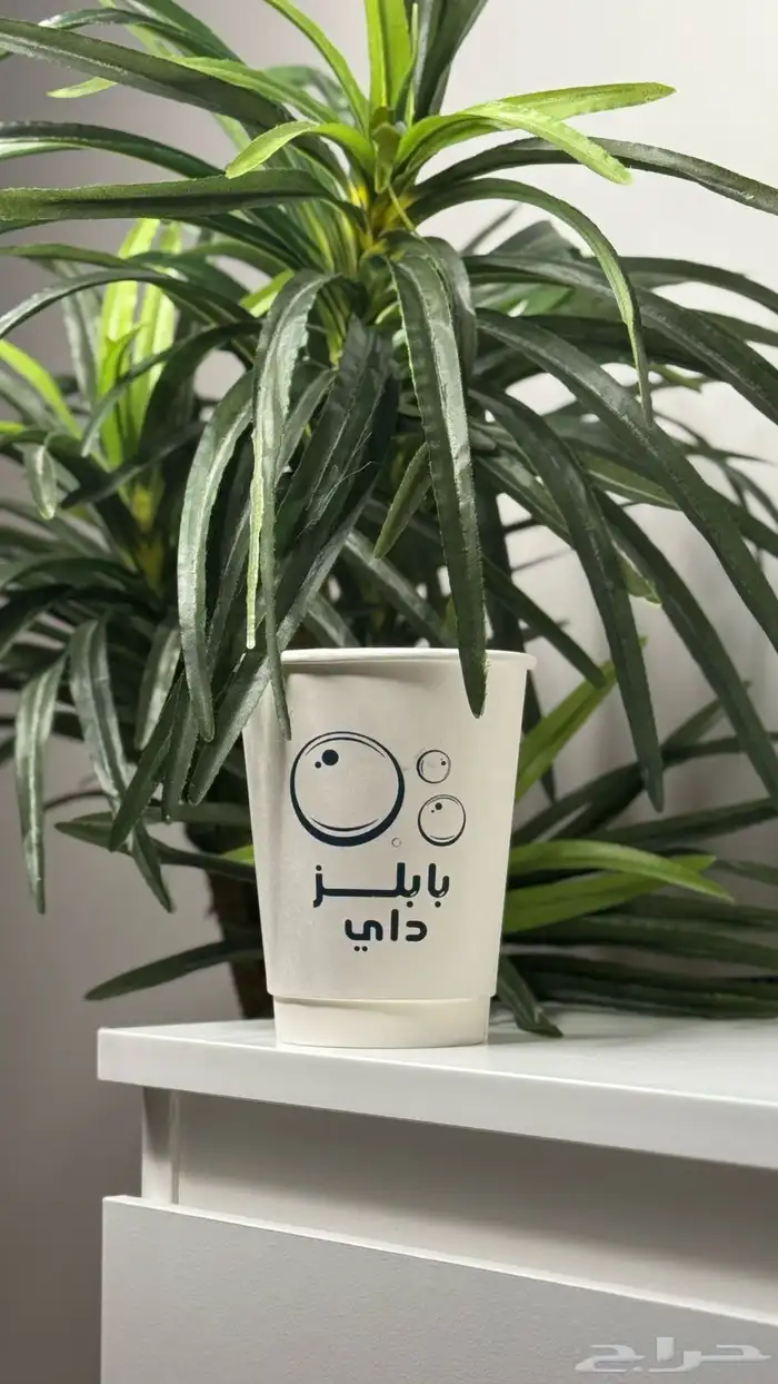 بروشات و اكواب و اكياس ورقية و جميع الاشياء 64