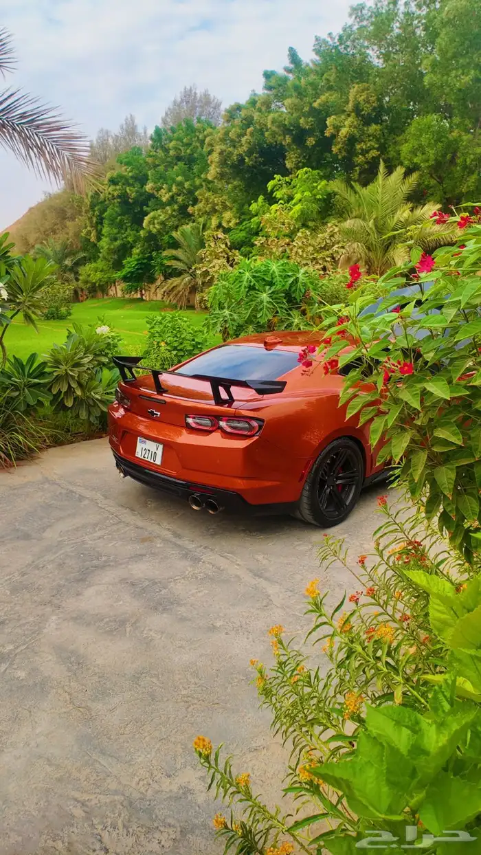 كمارو zl1 1le 2022 2