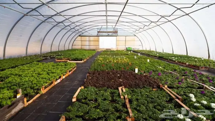 للبيع بيوت محمية واكسسوار البيوت محميه 3