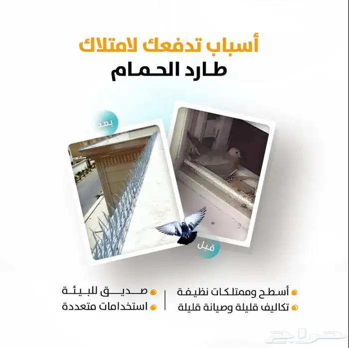 تركيب طارد الحمام اشواك و شبك (منتج 7 ملي ) جودة عالية 2