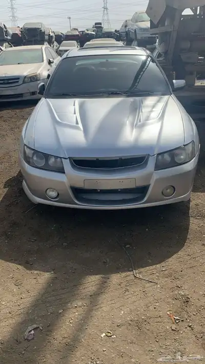 لومينا 2004 0