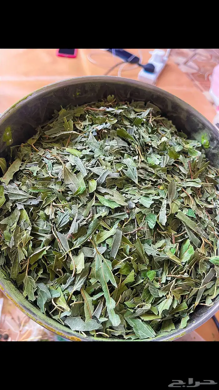 سدر بلدي مطحون في البيت شي فاخر 4