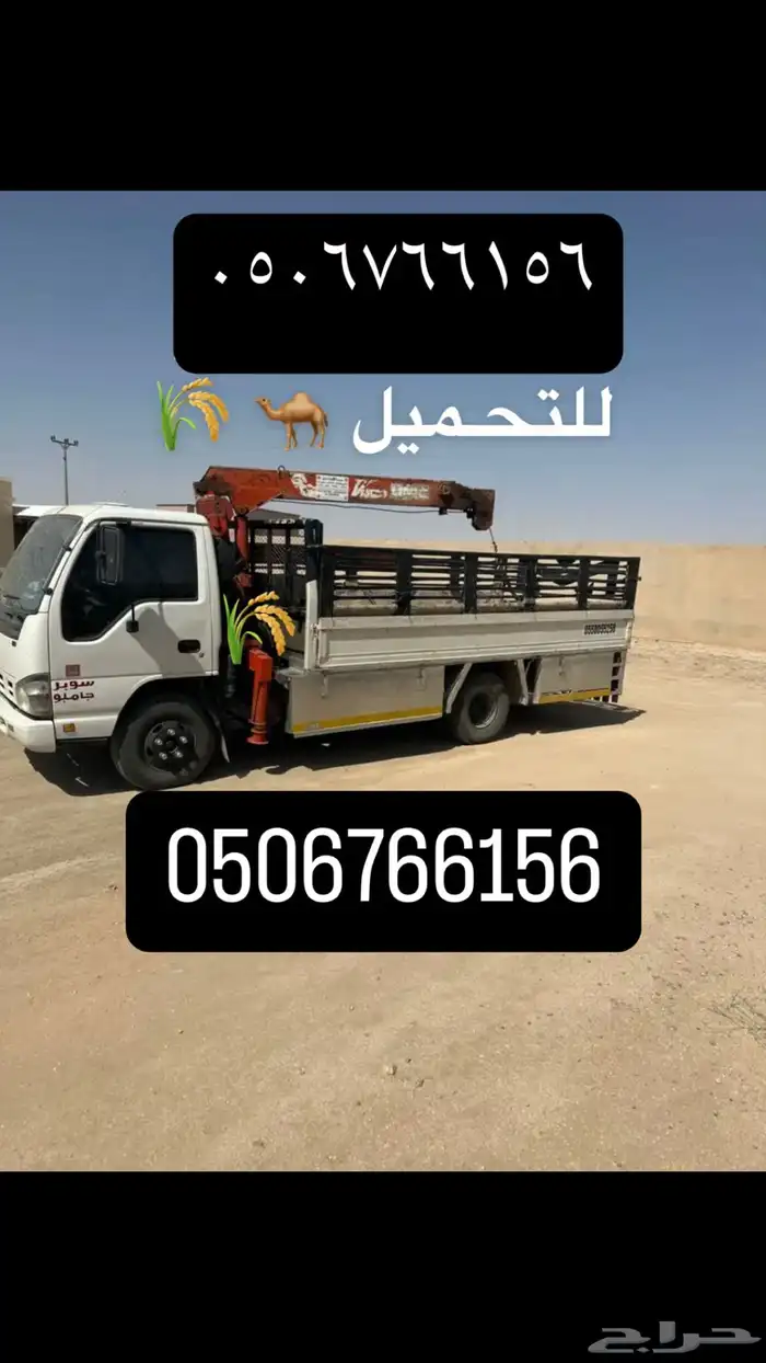 ديانه ونش للتحميل الحلال وغيرة 0