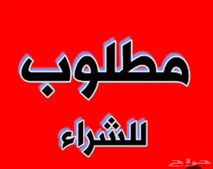 مطلوب طليان ورخال حريه 0