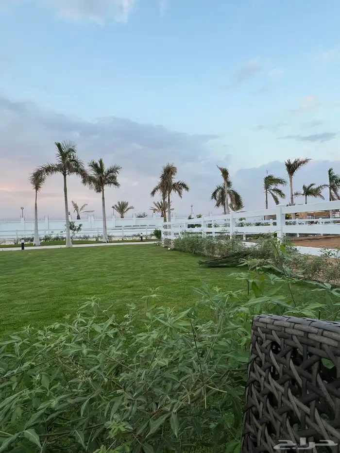 مربط و اسطبل ل ايواء الخيل Horse Stable - شمال جدة (ذهبان) 0