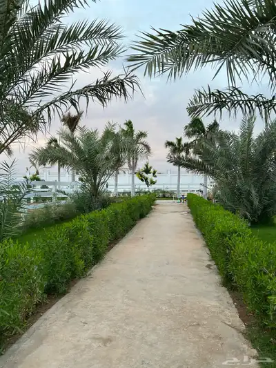 ايواء للخيل خاص للايجار برنامج غذائي متكامل 6