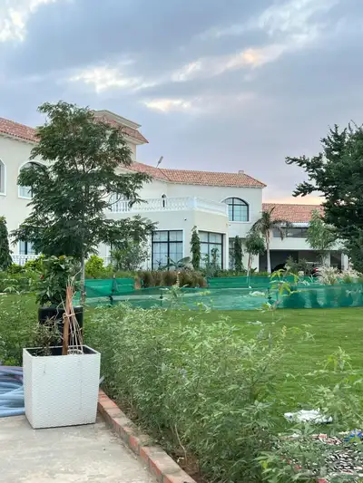 ايواء للخيل خاص للايجار برنامج غذائي متكامل 5