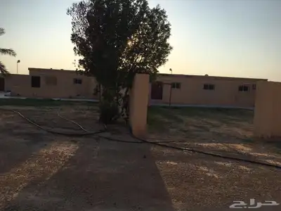 للبيع استراحه زاويه بالاسياح بصك الكتروني مساحه 10 الاف متر 8