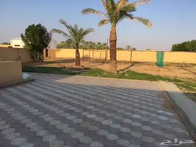 للبيع استراحه زاويه بالاسياح بصك الكتروني مساحه 10 الاف متر 4