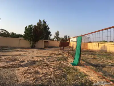 للبيع استراحه زاويه بالاسياح بصك الكتروني مساحه 10 الاف متر 9