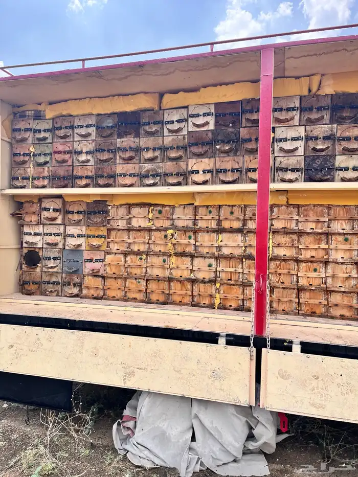 جمس ستيك بدي للبيع مع النحل 0