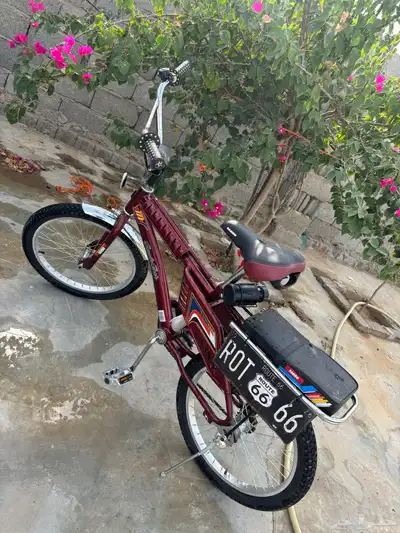 سيكل عنبي 1
