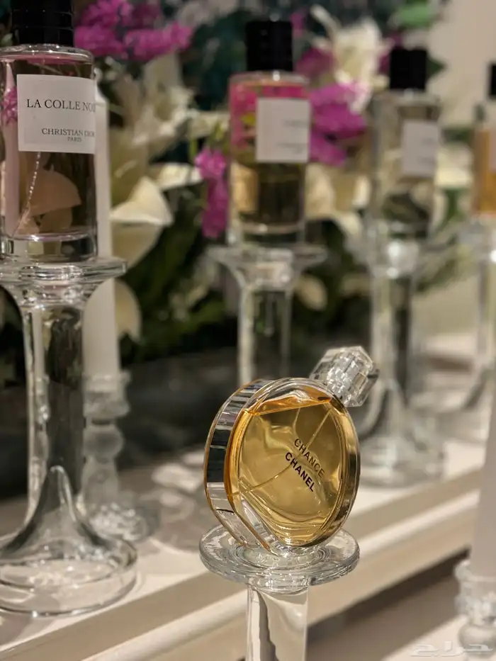 عرض الاجازة كورنر عطور 850 شامل عشر عطور تنسيق ومشرفة 3