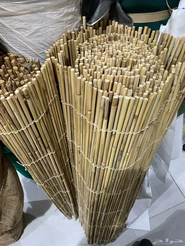 جميع أنواع الخيزران الباكستاني 1
