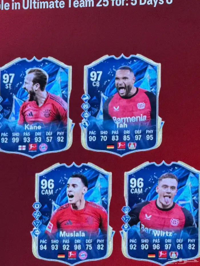 فيفا كوينز 0