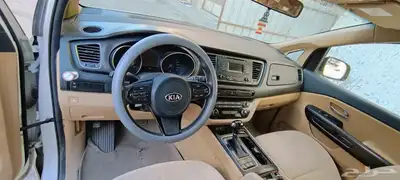 الدمام 8