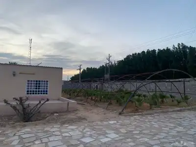 مزرعة للبيع 4