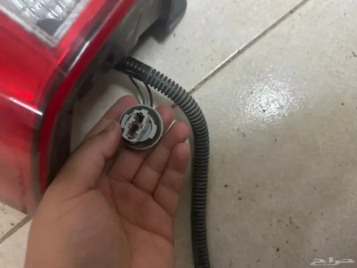 سطب سكاليد 2