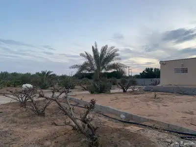 مزرعة للبيع 6