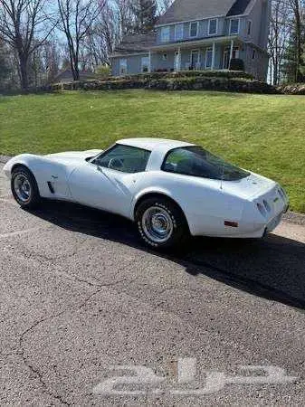 للبيع كورفيت موديل 1979 chevrolet corvette اعلان 4099 2