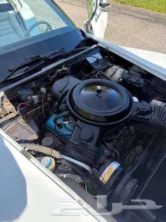 للبيع كورفيت موديل 1979 chevrolet corvette اعلان 4099 13