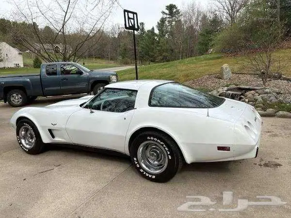 للبيع كورفيت موديل 1979 chevrolet corvette اعلان 4099 6