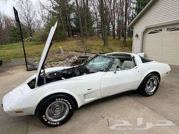 للبيع كورفيت موديل 1979 chevrolet corvette اعلان 4099 1